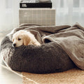 Double Weighted Luxury Blanket