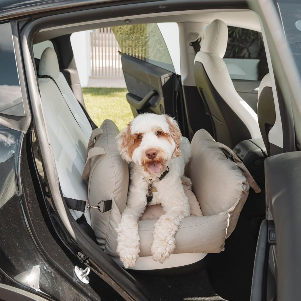 Premium Dog Car Bed