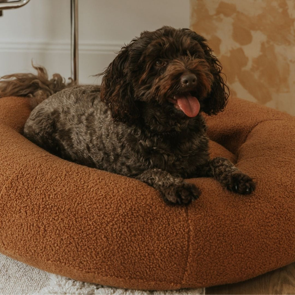 Premium Teddy Bed