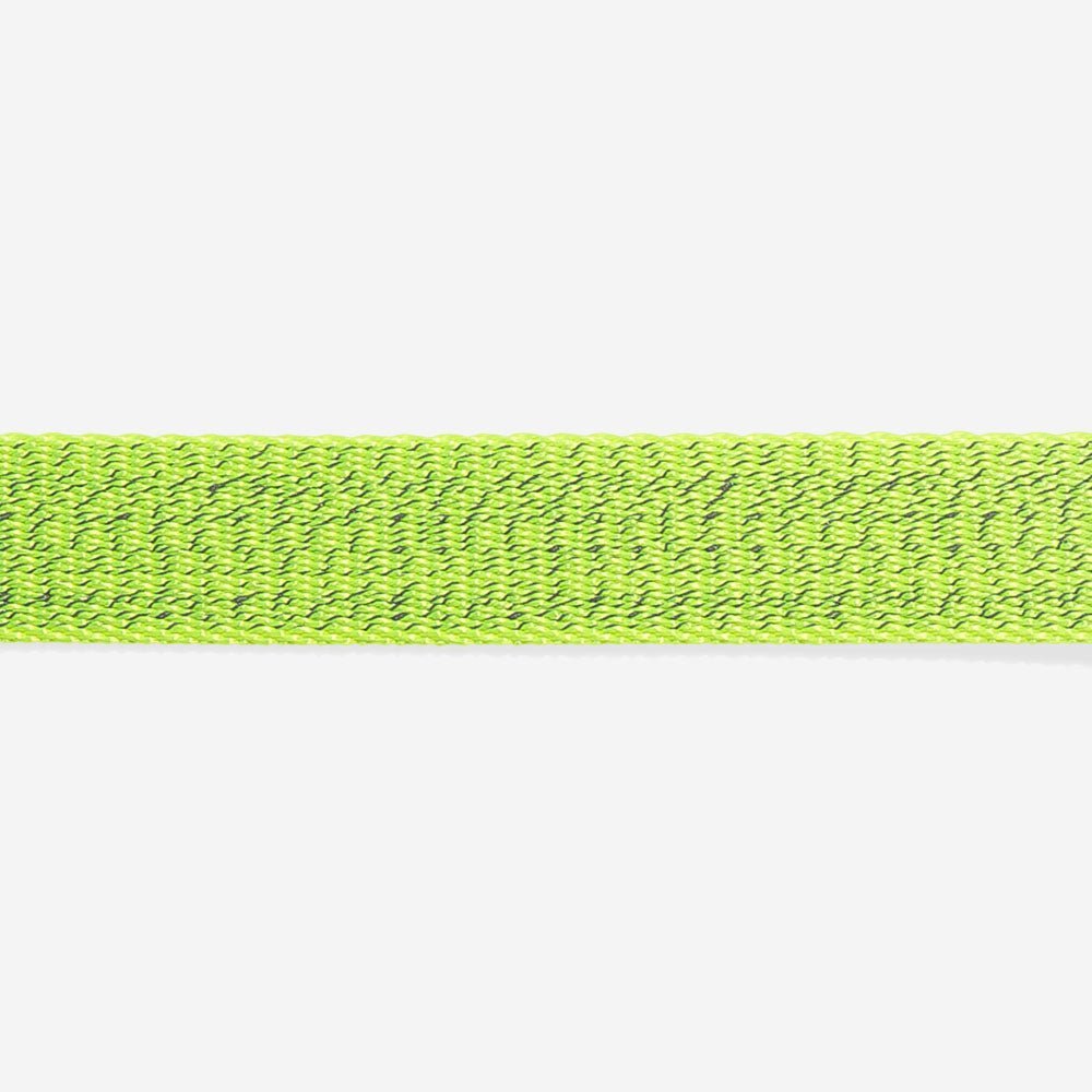 NOX Lumen | Cat Collar