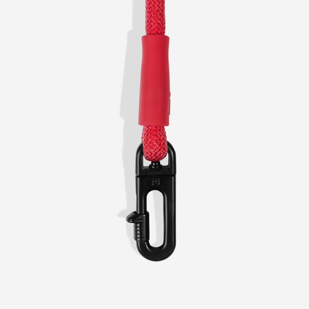 Spider-Man | Hands-Free Leash